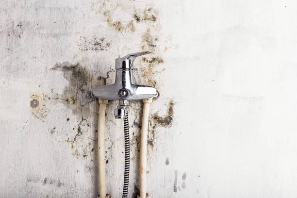 Office Mold Removal Services in Pooler, GA