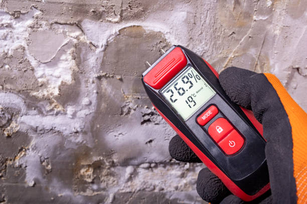 Best Mold Damage Repair  in Pooler, GA