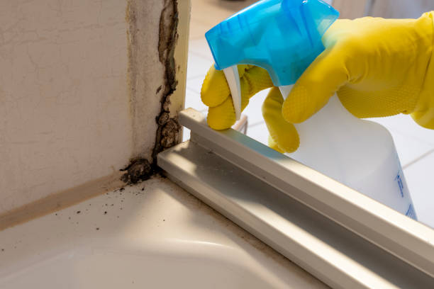 Best Office Mold Removal Services  in Pooler, GA