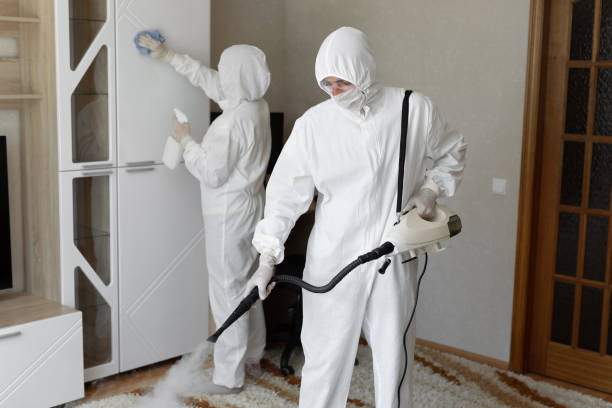 Attic Mold Removal in Pooler, GA